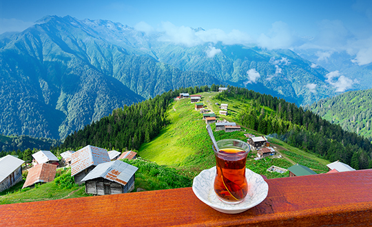 Karadeniz & Batum Turu