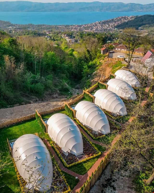 Snail House
