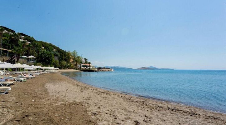 Palmet Bodrum