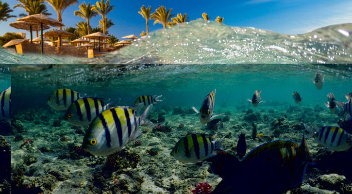 Sharm El Sheıkh Turu 4 gece 6 Gün
