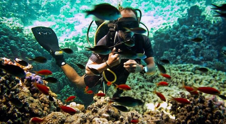 Sharm El Sheıkh Turu Vizesiz 3 Gece 4 Gün