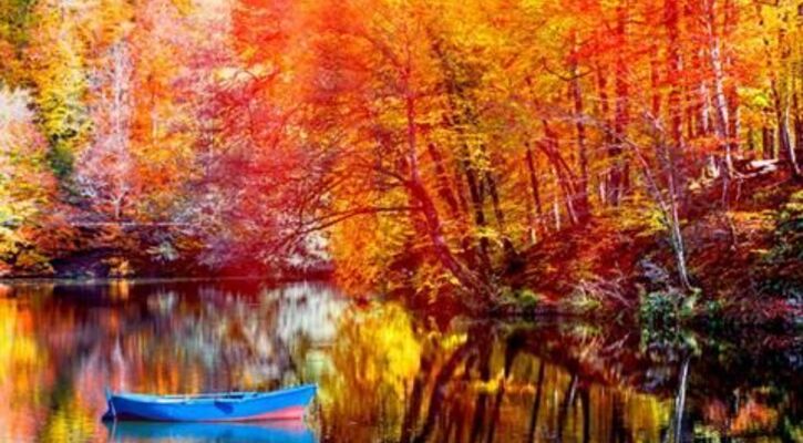 Yedigöller Turu - Her Cumartesi Pazar Kalkışlı