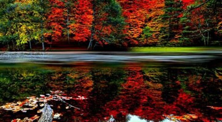 Yedigöller Turu - Her Cumartesi Pazar Kalkışlı