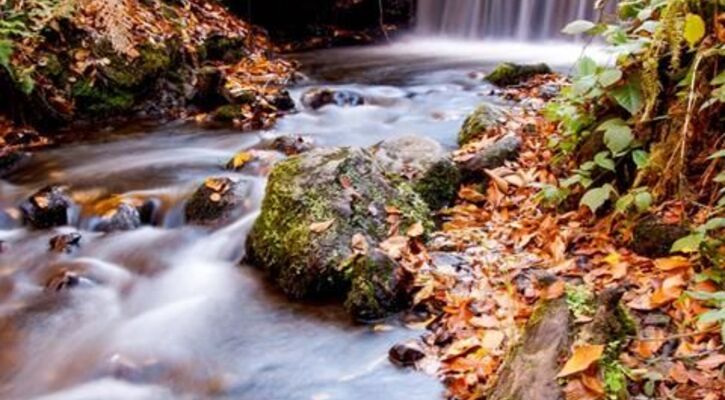 Yedigöller Turu - Her Cumartesi Pazar Kalkışlı