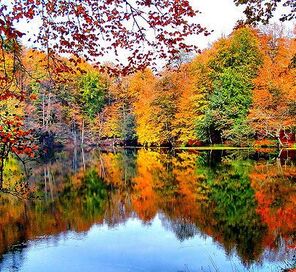 Yedigöller Turu - Her Cumartesi Pazar Kalkışlı