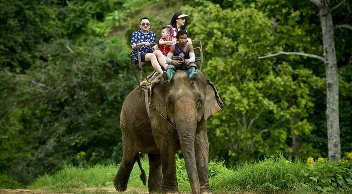 PHUKET TURU 