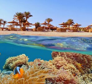 2026 BOYUNCA VİZESİZ Sharm El Sheikh Turu | 5 Gece Her Şey Dahil Otel Konaklamalı | İstanbul Kalkışlı