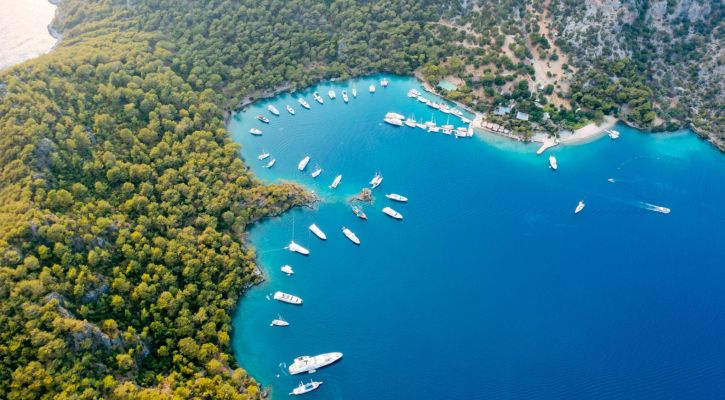 Fethiye Ölüdeniz Dalyan Gökova turu | 3 Gece Konaklamalı | İstanbul ve Bursa Hareketli