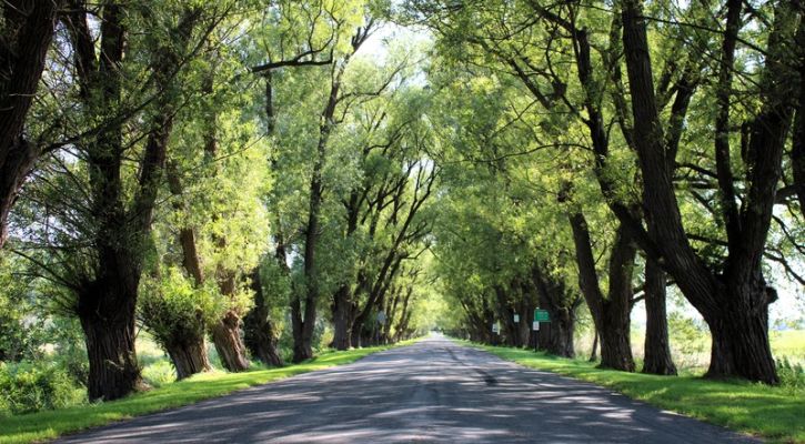Fethiye Ölüdeniz Gökova Kaş Kekova Turu | 4 Gece Konaklamalı | İstanbul ve Bursa Hareketli