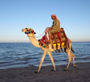 Sharm El Sheikh Çöl ve Mercanların Keşfi Turu Pegasus Havayolları ile 4 Gece Konaklamalı