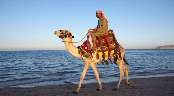 Sharm El Sheikh Çöl ve Mercanların Keşfi Turu Pegasus Havayolları ile 5 Gece Konaklamalı Ekstra Turlar Ve Çevre Gezileri Dahil