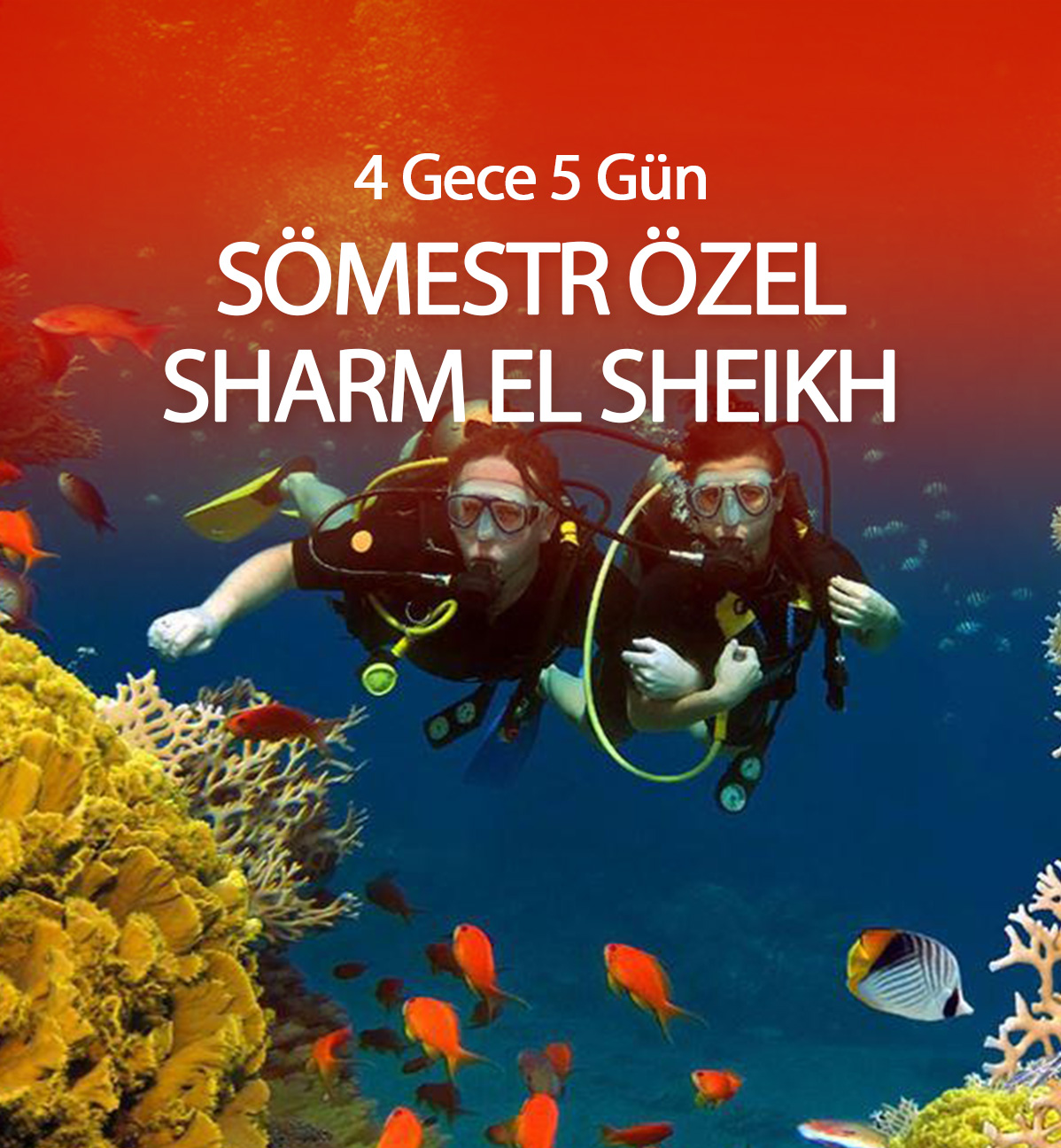 Sömestir Özel Sharm El Sheikh Turu | 4 Gece Konaklamalı | Vizesiz Tatil | İstanbul Kalkışlı